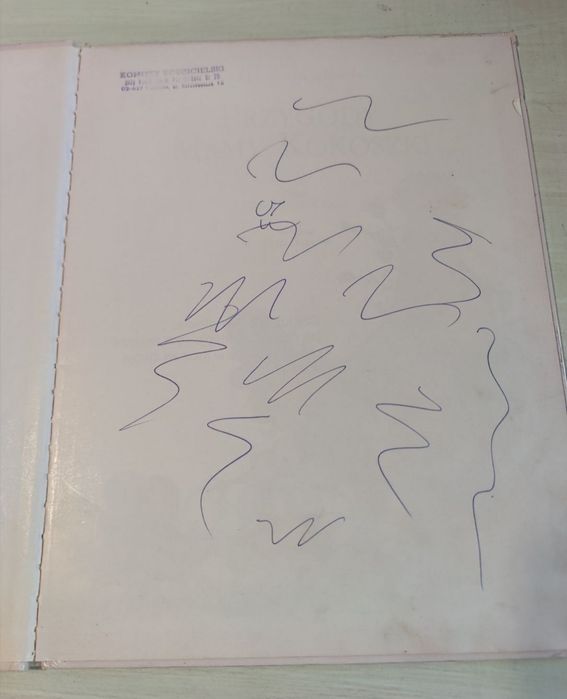 Przygody mamy kokoszki bogato ilustrowana książka dla dzieci