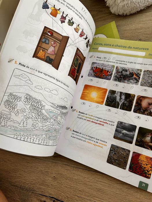 Manual e livros de fichas Estudo do meio 1 ano PLIM