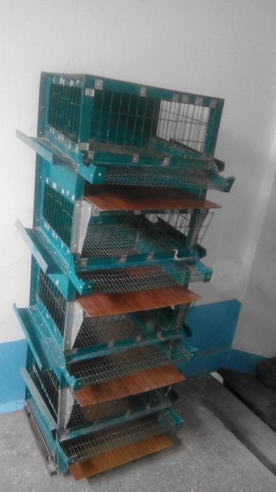 Клетка для перепелов