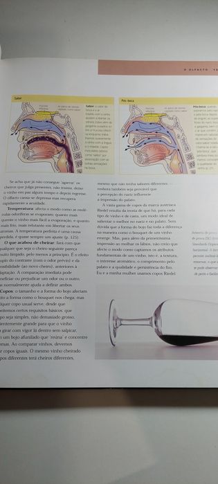 O Essencial sobre a Prova - Michael Schuster (Vinhos)