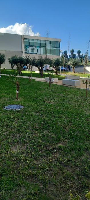 Limpeza de terrenos, lotes e quintais em Lisboa