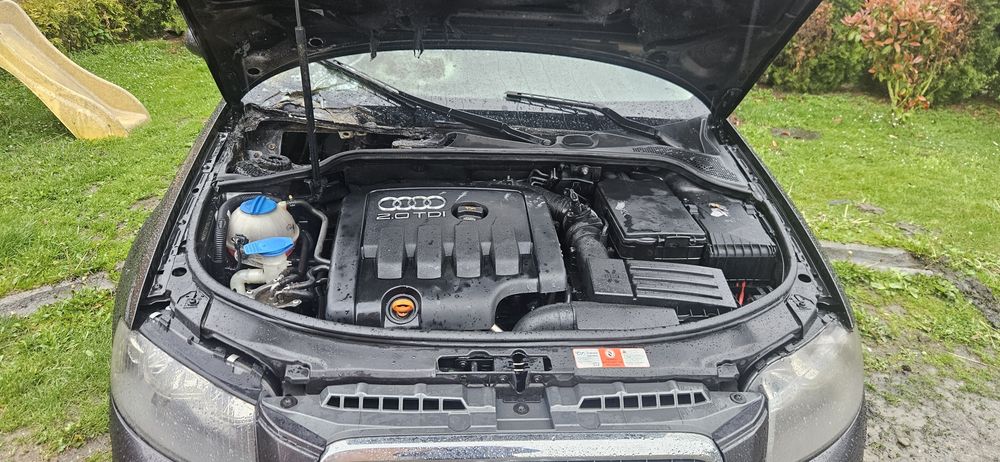 Audi a3 8p 2.0 2006