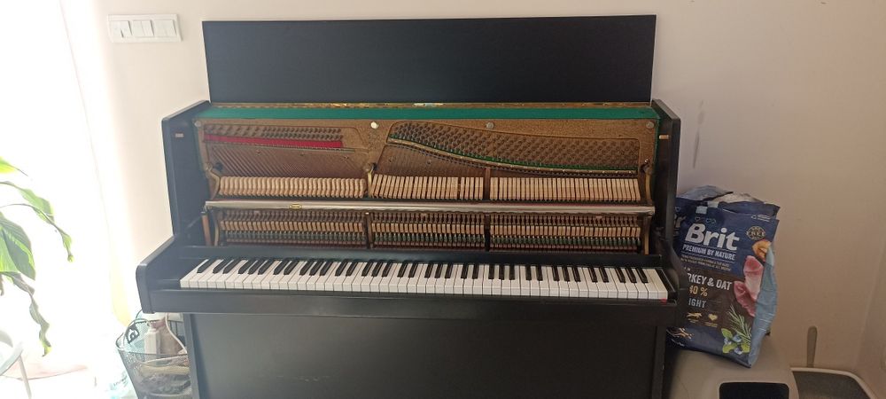 Pianino nordiska