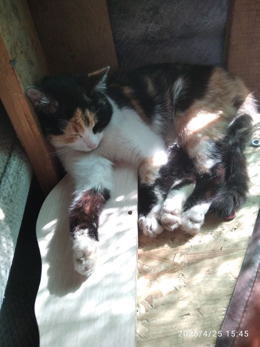 Потрібна допомога дуже сильно