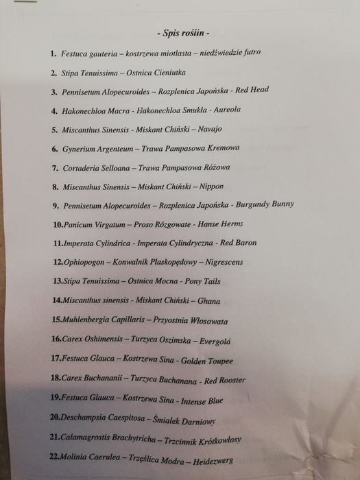 Trawa Miskant chiński Ghana