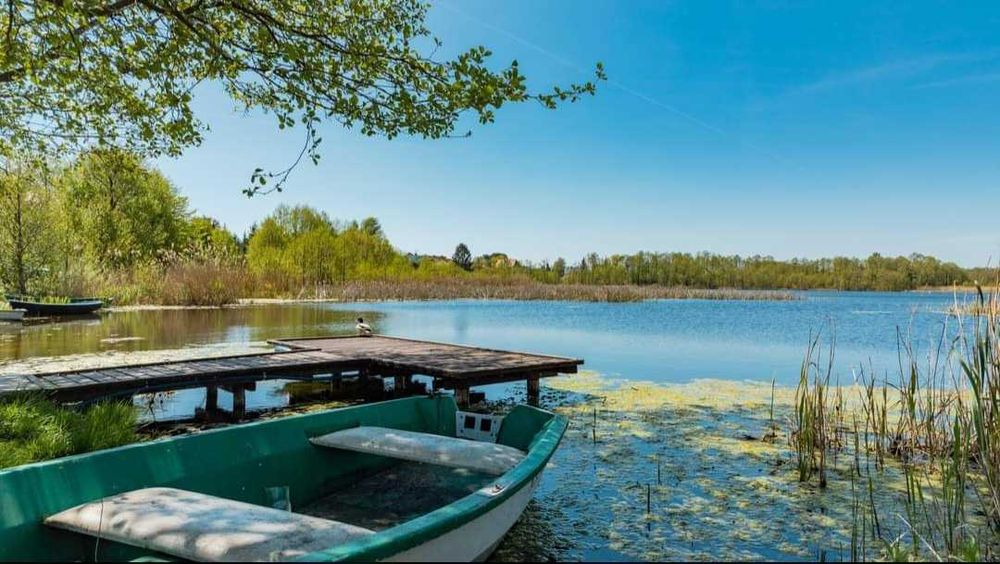 Domek  u Prezesa  Wilkasy