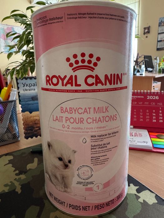 Молоко для новонароджених кошенят Royal Canin Babycat milk 0,3 кг