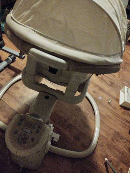 Bujaczek beżowy  z pozytywką