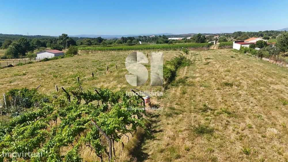 Terreno em Sabrosa
