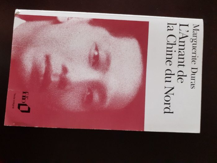 livros diversos: romances e informativos
