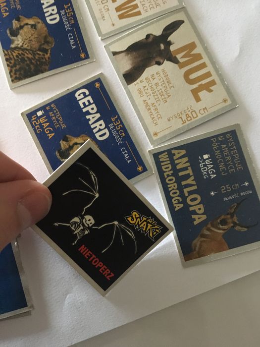 Mr snaki cheetos lays zwierzeta chio star foods chipicao star chips