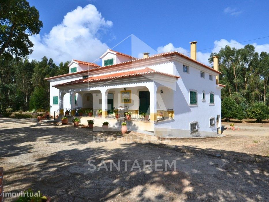 Quinta com 5,8 hectares, em Santarém