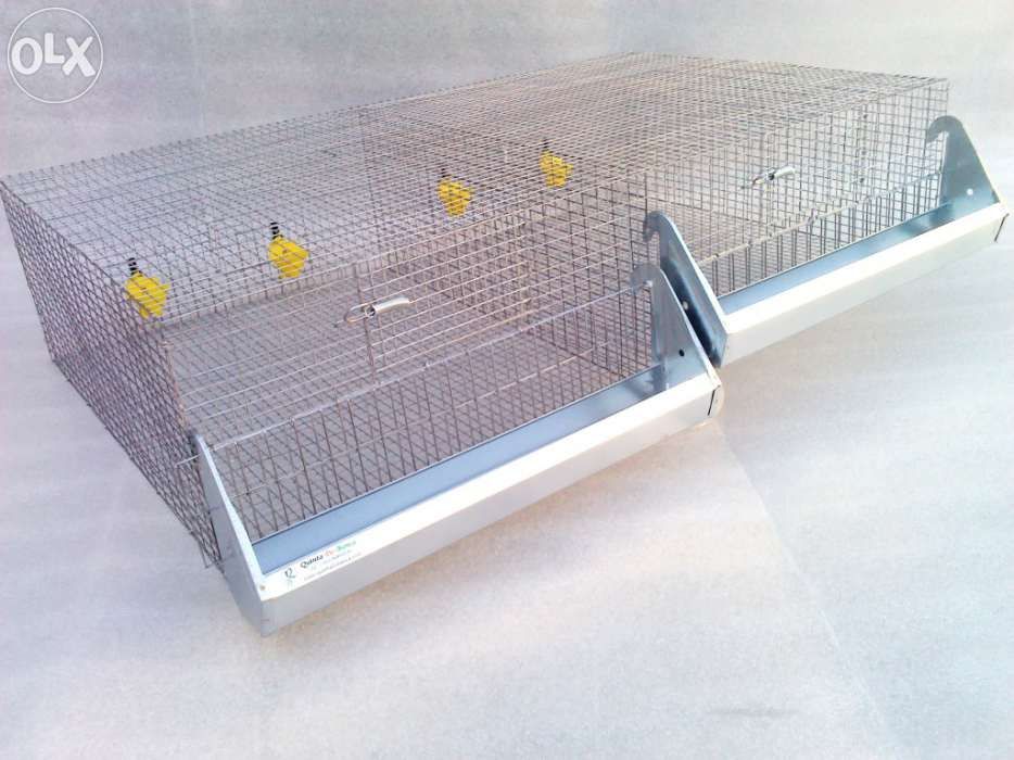 Jaulas / Gaiolas para Codornizes, Perdizes, Galinhas - QuintadoBanca