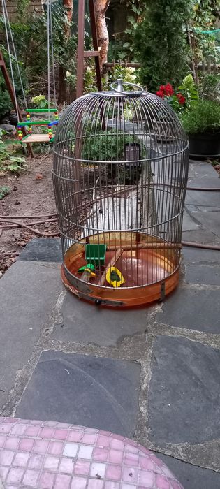 Большая клетка из нержавейки