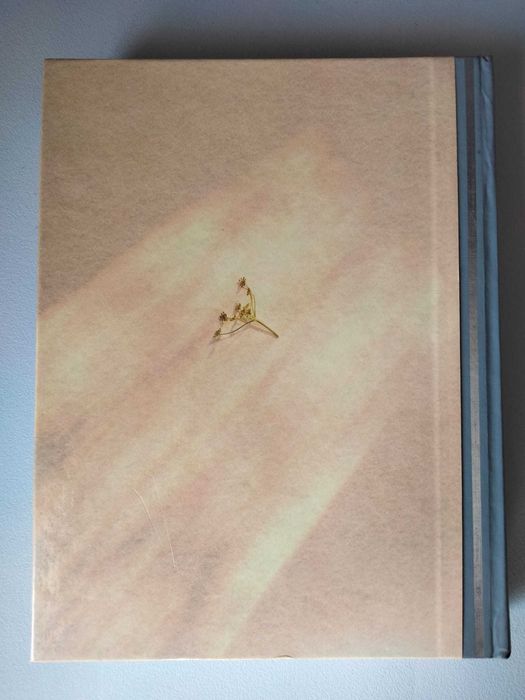 Comer Melhor para Viver Melhor