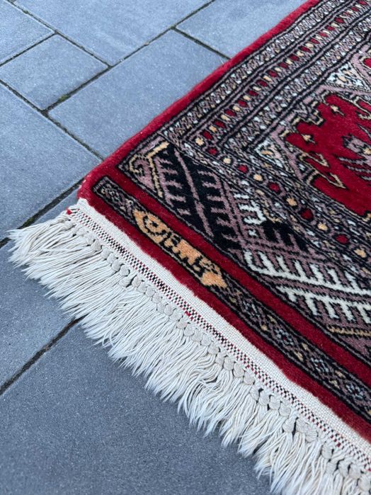Sygnowana Pakistańska Buchara Ręcznie Tkana Wełniana Chodnik 169x50