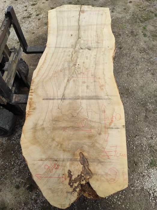 Blaty jesionowe, bale, monolit, po suszarni