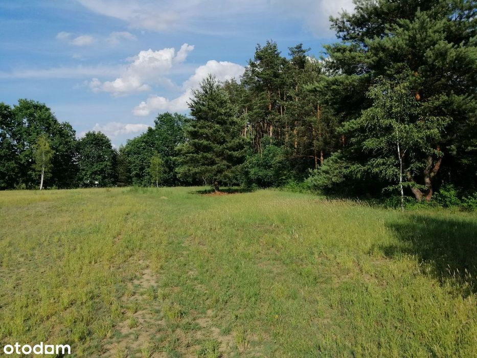 Przepiękna działka budowlana 1901m² Osowiec - Widok 2