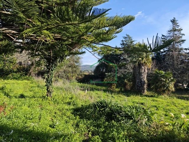 Quintinha em Riba de Âncora, com casa em pedra para recuperar .