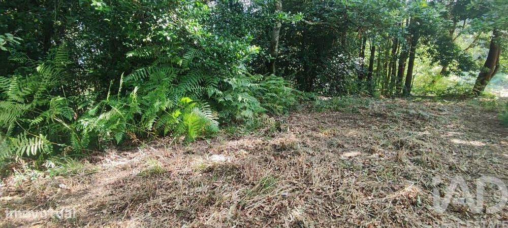 Terreno em Romarigães