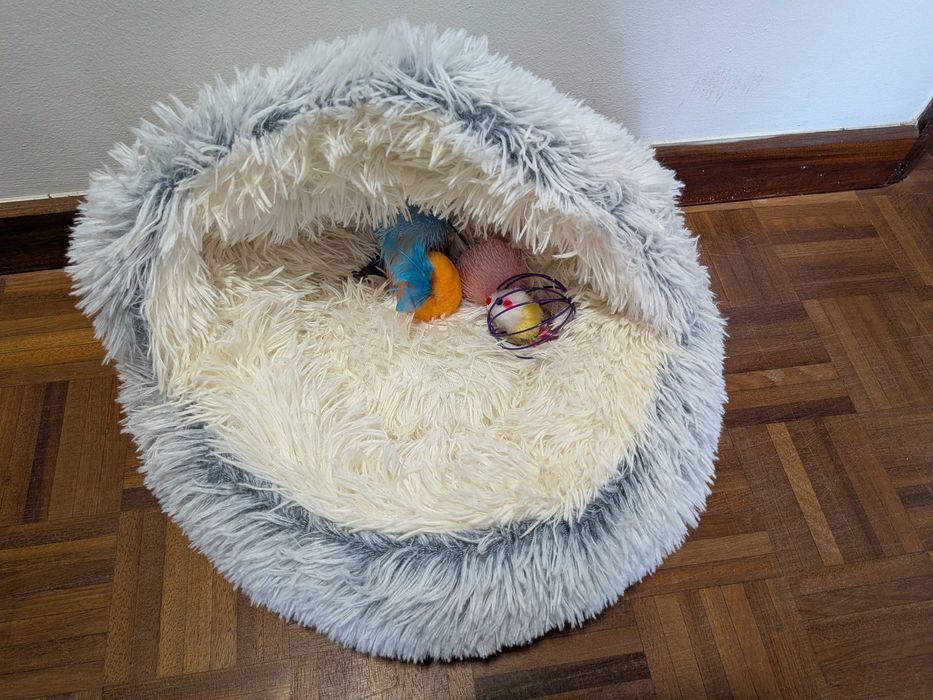 kit para gatinho
