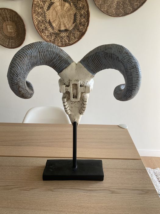 Imagem decorativa431551098567403521