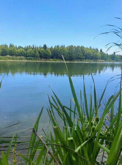 Mieszkanie – Białystok - Widok 4