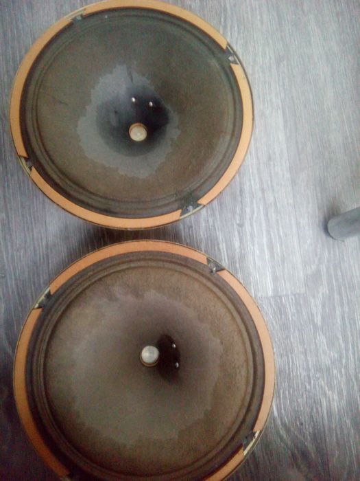 Динамики 4гд28 4гд-28 в ідеальному состоянии.