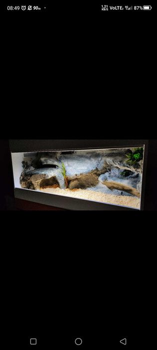 Okazja terrarium dla agamy gekona żółwia węża kameleona legwana