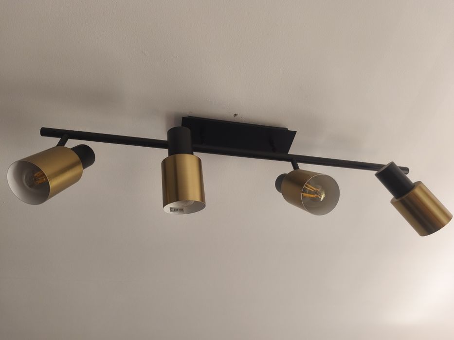 Ceiling Lamp with 4 Light Sources