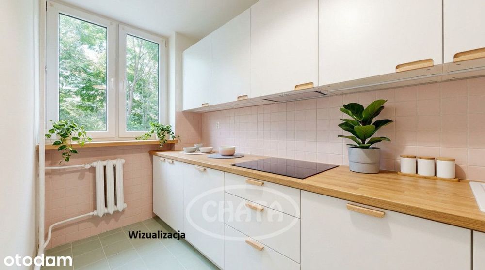 Kawalerka/centrum/ ul. Kamienna/winda