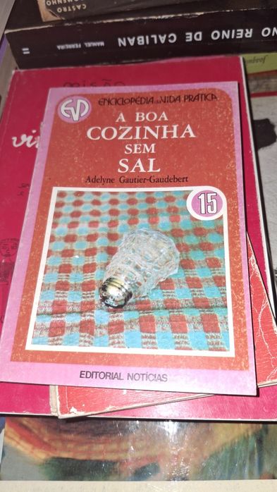 Boa cozinha sem sallivro culinária receitas Adelyne gautier