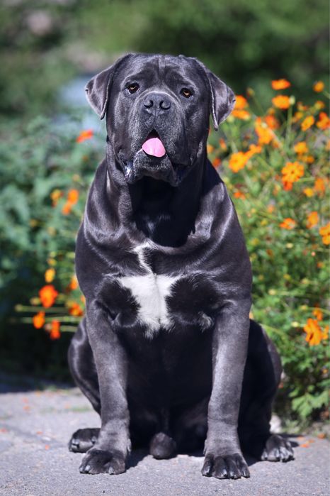 Голубий хлопчик_Нептун