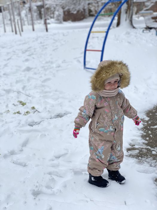 Reima Зимовий комбінезон Lappi 5100129С Коричневий Regular Fit