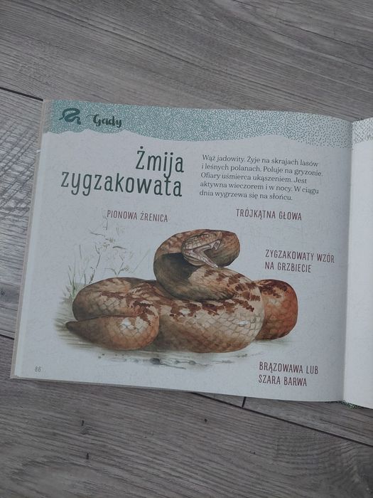 Elementarz naszej przyrody Zwierzęta
