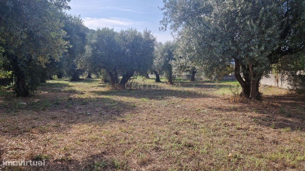 Excelente terreno em Barreiras — Redinha, Leiria