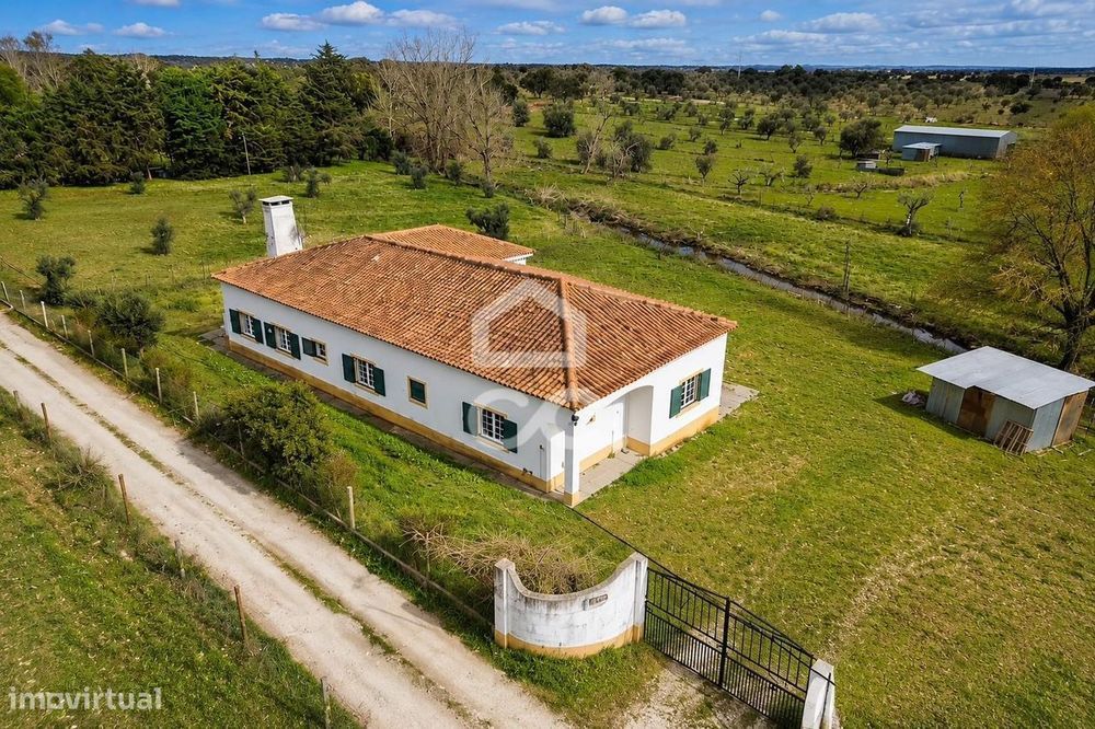 Quinta de 0,7 ha com Moradia T4 e Anexos | Azaruja, Évora