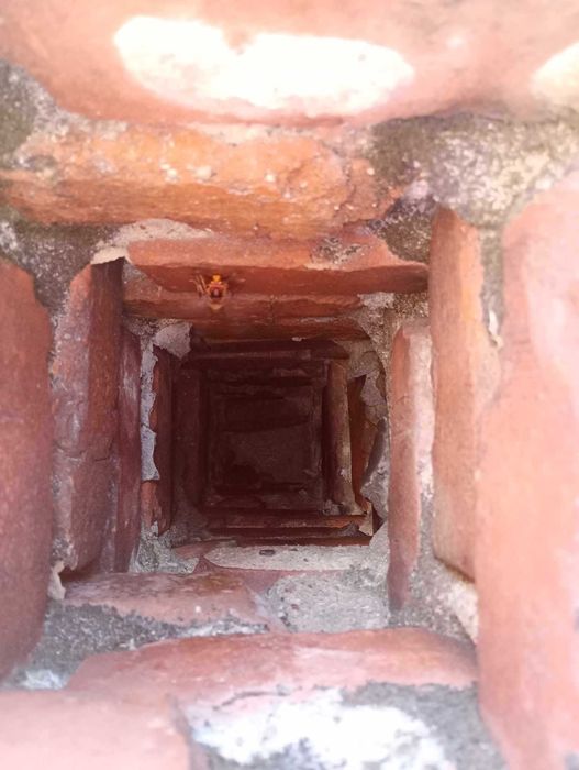 Profesjonalna likwidacja gniazd os i szerszeni