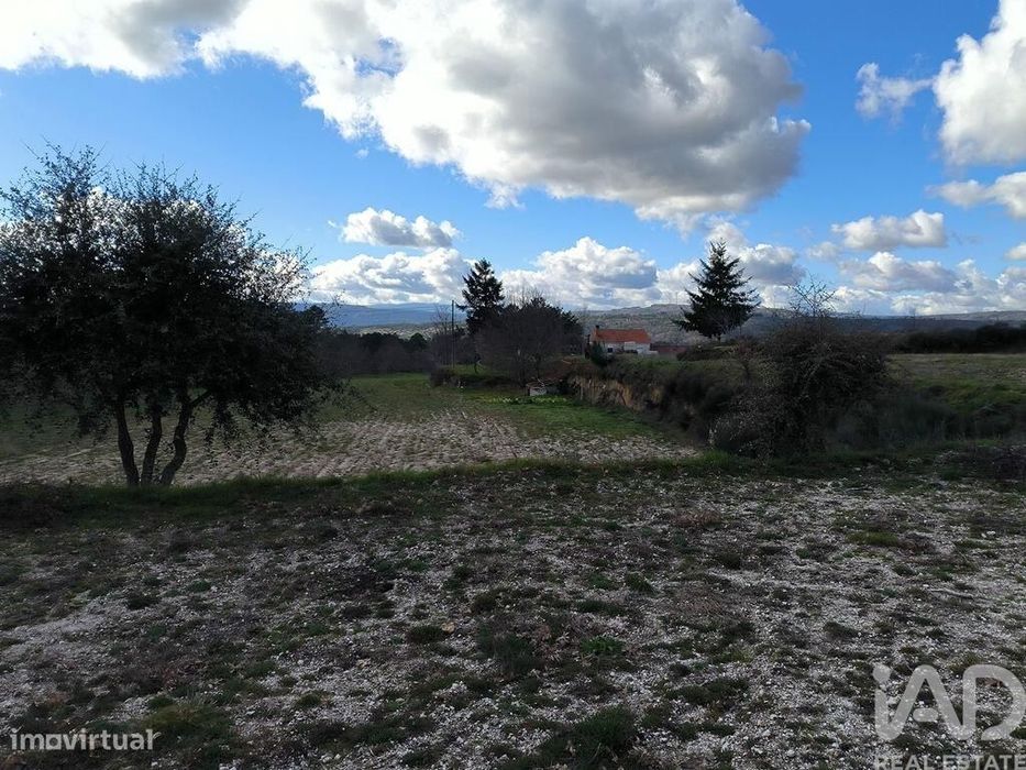 Quinta T5 em João Antão de 228,00 m2