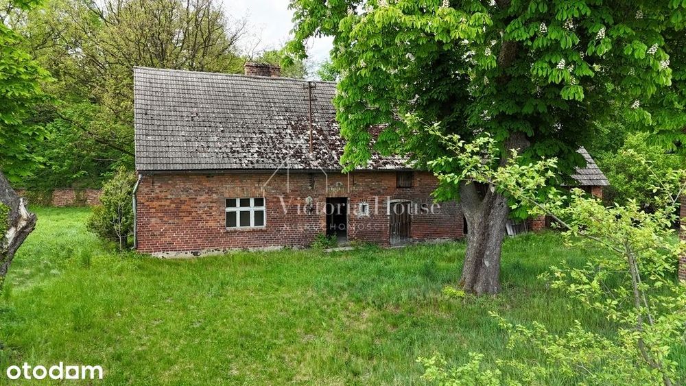Dom 100m2 przy parku, działka 16-arowa,
