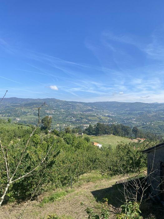 Quinta do Valado Zona do Douro Resende