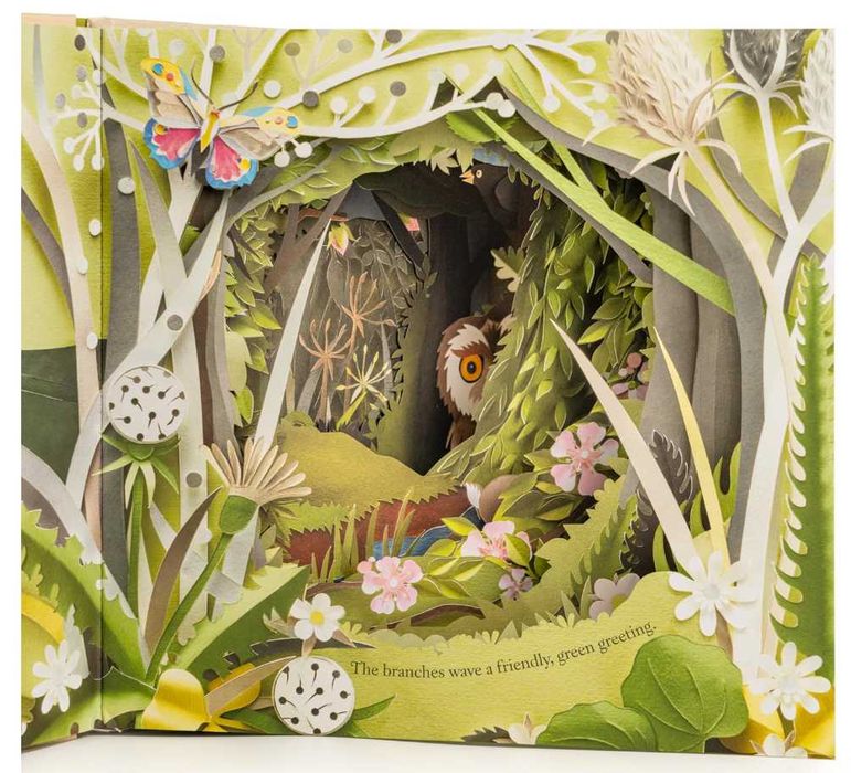 Інтерактивна книга: A Walk Through the Woods/Прогулягка лісом