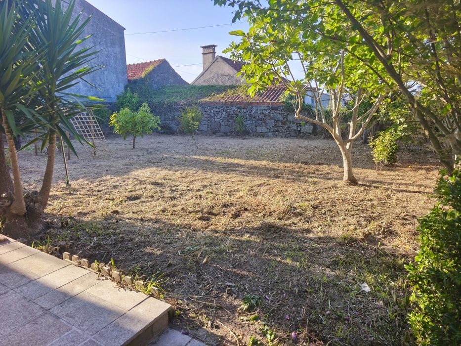 Jardinagem e Limpeza de Terrenos (Pequeno/Médio Porte) – Rápido e Económico