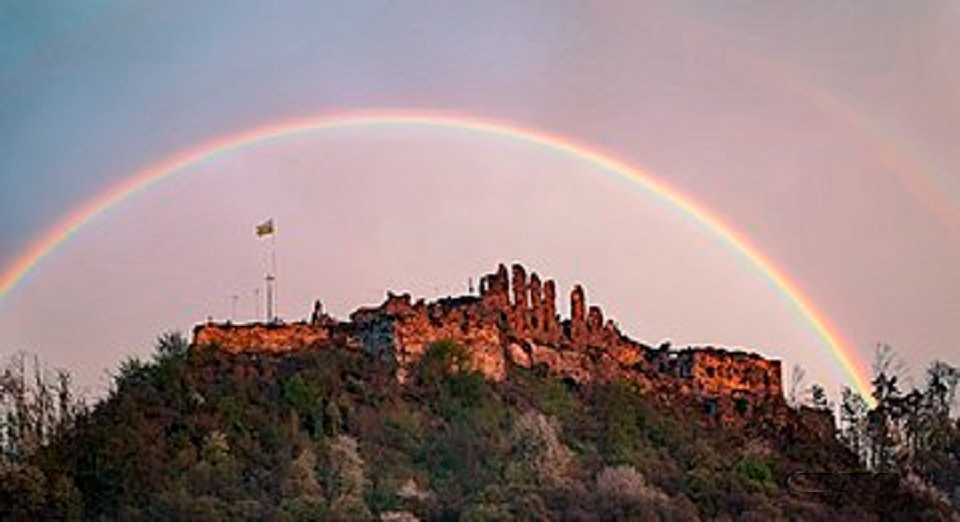 Ексклюзивна інвестиційна пропозиція в серці Закарпаття, 62 сотки. Гори
