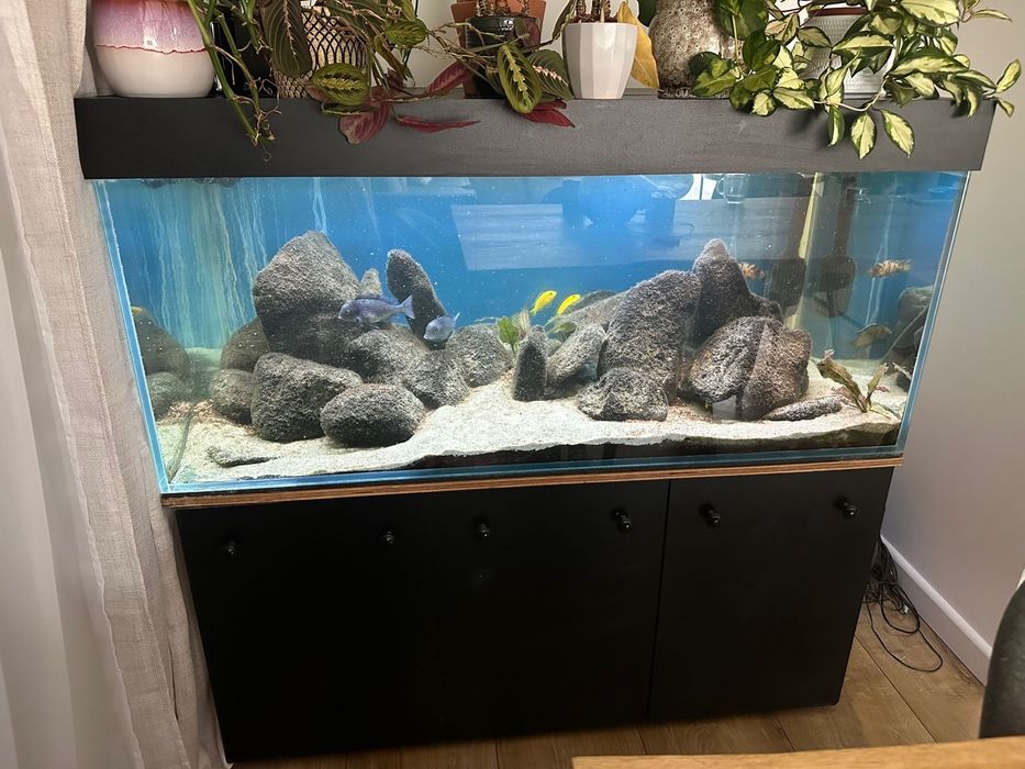 Akwarium 360L 120x60x50