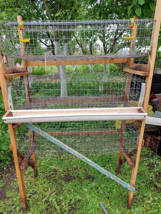 Клітки для перепелів