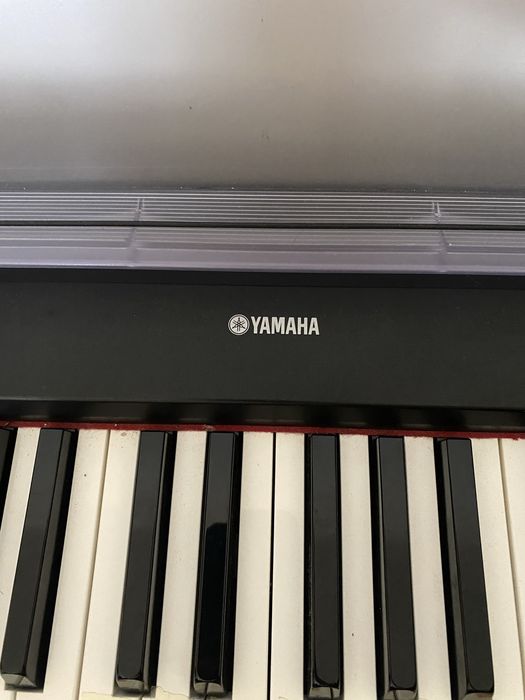 YAMAHA | Digital Piano P-85