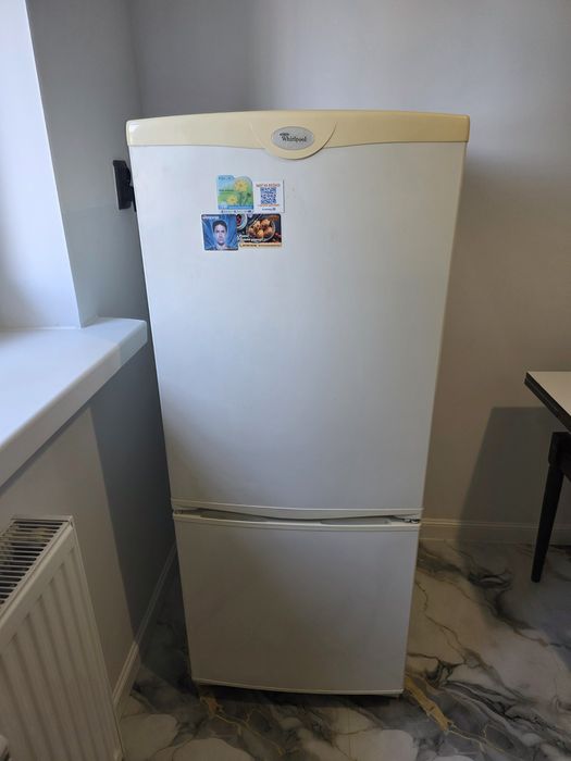 Lodówka whirlpool z zamrażalnikiem