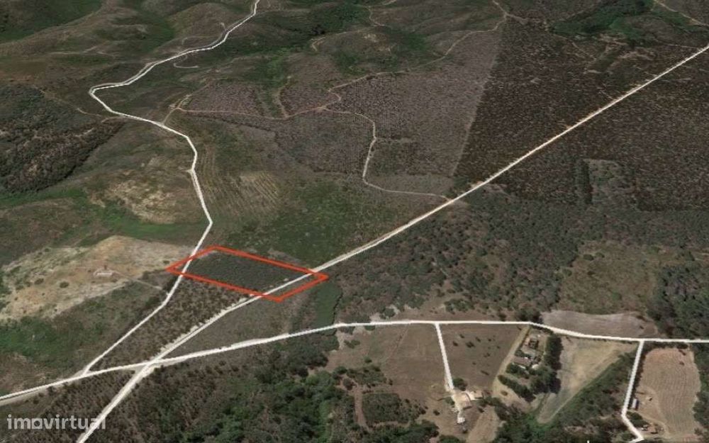 Terreno Rústico com visita para o oceano nas Alfambras