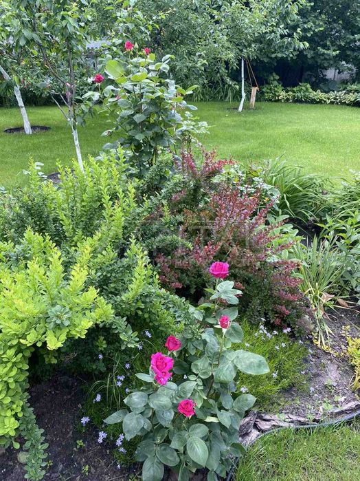 Будинок 60м2/13соток/Бровари, провулок Шевченка, поруч пляж